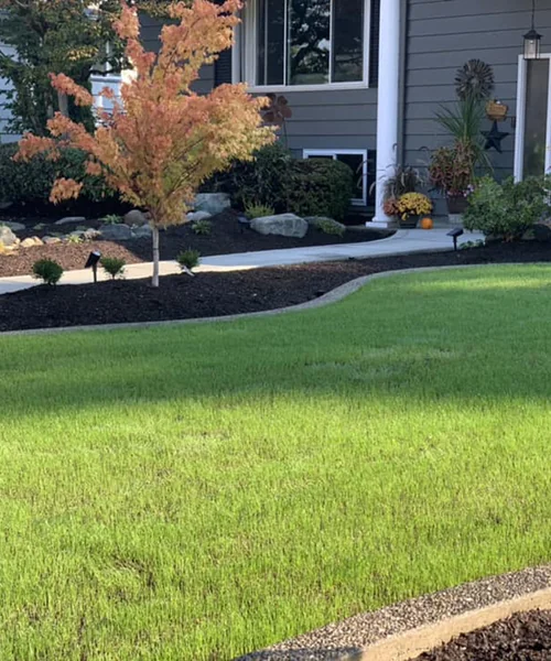 Irrigation systems, concrete curbs, plant design, and landscape rocks with grass seed in Fircrest 